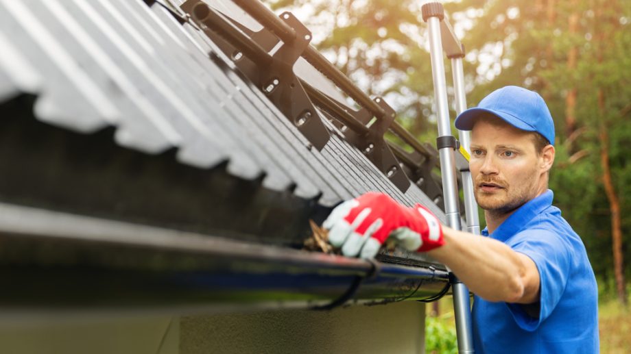 gutter cleaning services