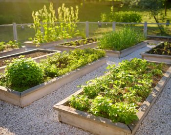 7 Awesome Gardening and Landscaping Ideas for Homes of All Sizes