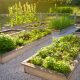 7 Awesome Gardening and Landscaping Ideas for Homes of All Sizes